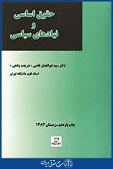 حقوق اساسی و نهادهای سیاسی