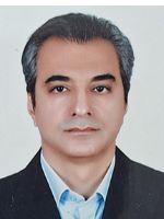 مجید ملک محمدی