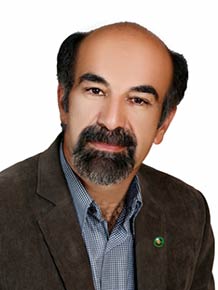حمیدرضا دشتی