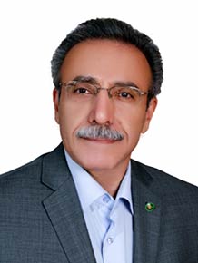 حمیدرضا سلطانی طهرانی