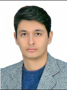 امیرحسین مروجی