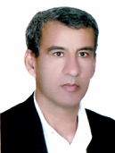 سیدامین الدین نجیبی 