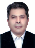 سیدمرتضی سیف زاده 