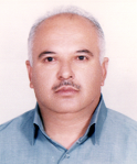 محمد فتحی 