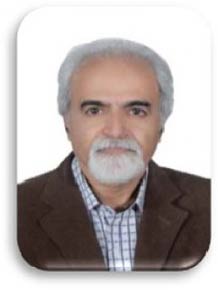 رضا افتخاری 