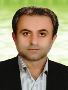 سید شمس الدین میرزکی 