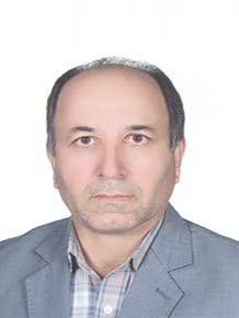 حسینقلی شولی