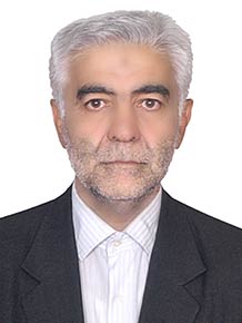 مهندس محمد محمودی 