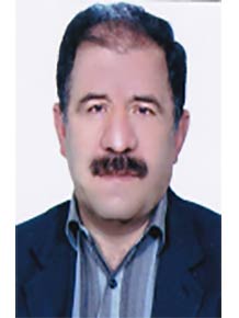 محمد باقری حمیدی 