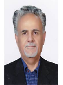 سید محمد مومن پور 