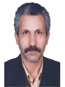 علی ملکی 