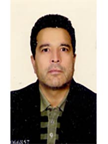 محمد حسین محمد زاده 