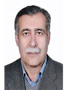 حسین سلطانی 