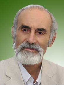 رضا کاملی