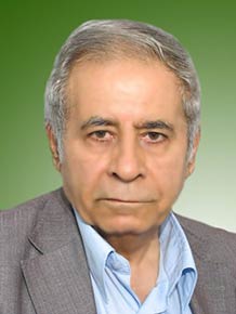 محمدحسین موحدی