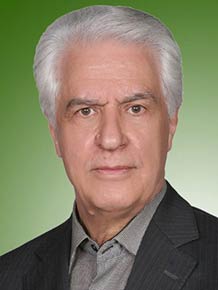 مرتضی احمدی شیرازی