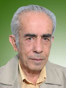 محمدولی حاکمی برآبادی