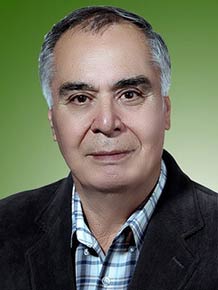 حسین عظیمی نژاد