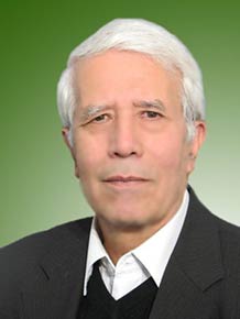 سیدمحمود خلیلی