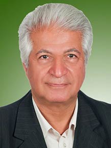 محمدمهدی دانشبدی