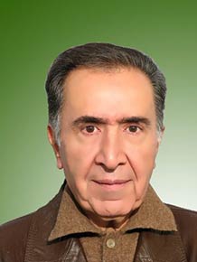 رضا میرآفتاب زاده