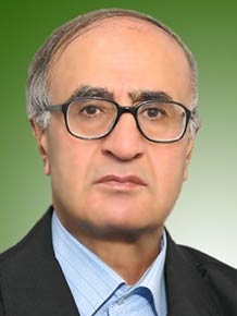 ابراهیم صادقی رینه