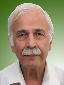 محمدحسین ایران منش
