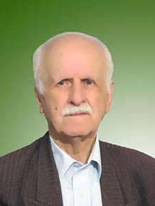 محمد رسولی آبکناری