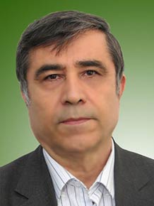 محمد امیرآبادی