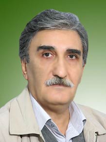 حسین رئوفی
