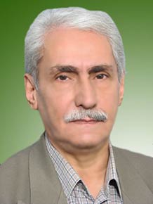 حبیب سلیمانزاده