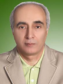 حسین مرجوی