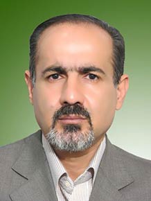 حمید شیخ حسنی