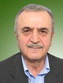 بهمن هروی