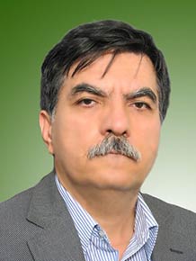 مهرداد رهبری