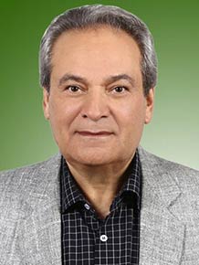 حبیب رزاقی اصل