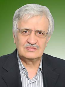مهدی فریدمرندی