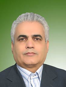میربهروز غیبی