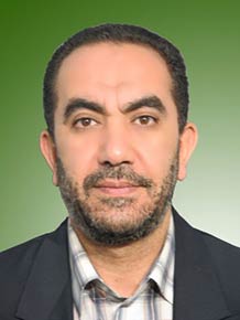 حسین رفیعی