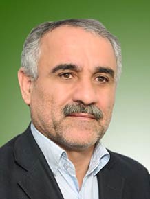 محمود شاه محمدی