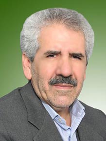 بهرخ انصاری