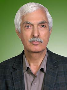 سیدحسن رضوی