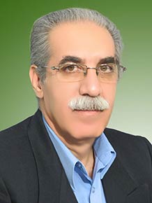 امیرمنصور شرافت وزیری