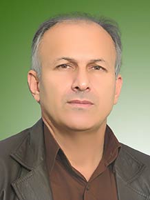 فتحعلی ولائی