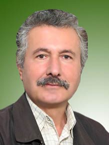 محمدعلی صارمی جویباری