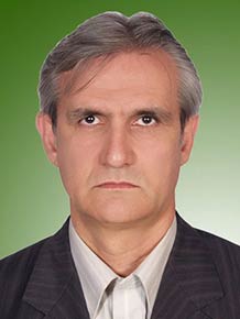 علی قره ضیاءالدین