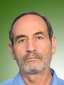 علی شیخ طلیمی
