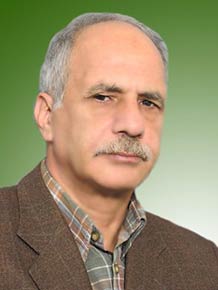 سیدمحمدرضا احمدی