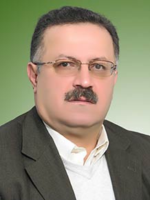 سیف الدین محمدی دوگاهه