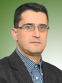 سیدرکن الدین محمودی